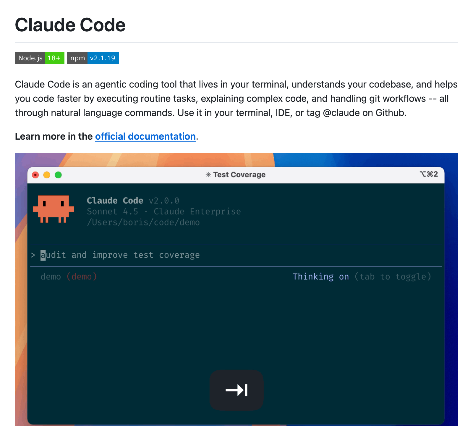 claude-code preview